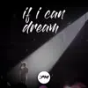 :PM - If I Can Dream - Single